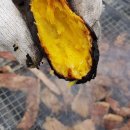 라온글램핑 이미지