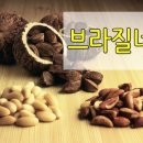 에스지상사 이미지