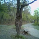 검바위약수터 이미지