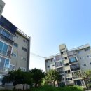 반포1동주민센터 5층 소회의실 | (2월 2일 금요일) 읽어두면 돈이 되는 부산광역시 재개발 뉴스