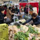 하나로 클럽 이미지