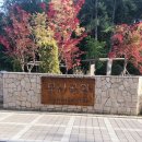 율하2지구_모산공원산책로 이미지