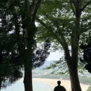 남해 가볼만한 곳 상주은모래비치 포토존 주소 위치 주차 후기