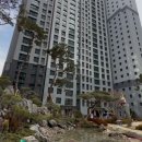 대성골프랜드 이미지