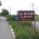 도계청과 네이버블로그