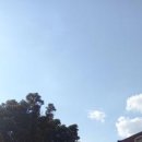 스테이 룰루랄라 이미지