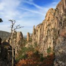 동해를 그리다 이미지