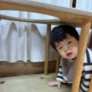 12.9 굿윌스토어 겨울용품 구경, 중랑천 이미지