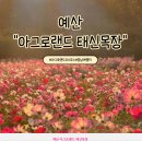 ▶11일10일(일)예산시장 5일장 / 예산출렁다리 / 아그로랜드 태산목장 당일여행가요 이미지