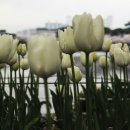 연지공원2 이미지