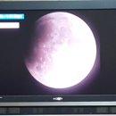 GS25 창천휘가로점 네이버블로그