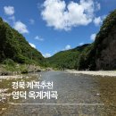 영덕6 | 경북 영덕 옥계계곡 아이들과 가기 좋은 계곡 추천! 포항 근처 물 맑고 얕은 계곡 후기
