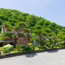 펜션명문 이미지