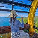 다 잡아 콜 | 인천공항 콜택시 예약 가격 오산 동탄 평택에서 택시 새벽 출국