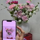 석촌역 어버이날 꽃추천 플라워스튜디오 쇼이 후기