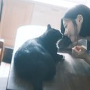 스토리아지트 이미지