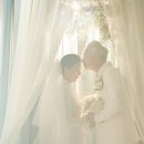 베이비파스텔스튜디오청주 이미지