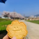 까마베이크하우스