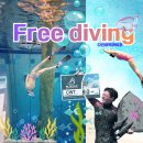 대한에너지 | 용인 딥스테이션 레벨1 프리다이빙 체험 강사 추천 솔직후기