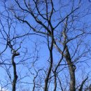 수 산 대 이미지