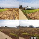 익산태양광 이미지