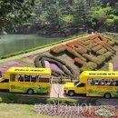 주정차단속-136 이미지