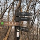 우면산3-27 이미지