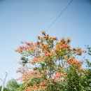 경기도 수원시 팔달구 정조로777번길 이미지