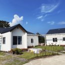 제주달로와 이미지