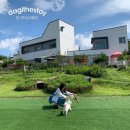 도기플래닛 더 스테이 이미지