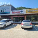 해병장어