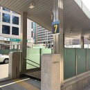 선릉동물병원 | 선릉역 이마필러 3cc 가격, 통증, 일주일차 내돈내산 후기