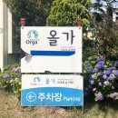 올가리조트 이미지