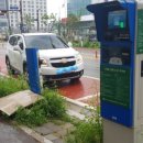 페티포티 이미지