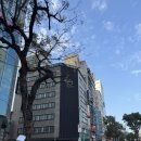 원스타 | [내돈내산] 대만 타이베이 원스타 호텔 후기_추천