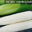 백두농산
