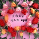 오세요책방 이미지