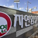 자연임실치즈피자 이미지