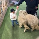 11545-10-25-36 | [부산 근교 아이와 갈만한 곳] 울산 캐니언파크 실내 동물원 25개월 아이와 함께 내돈내산 방문후기1