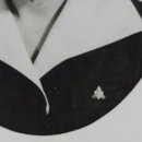 초계고등학교 이미지