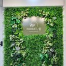 포레스트쉼 의정부점 이미지