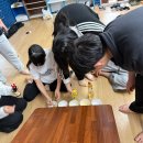 경희대 한결 태권도장 이미지