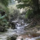 스테이인터뷰장태산 이미지