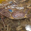 미도파횟집 이미지