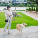 조례호수공원 이미지