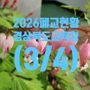 영덕야성초등학교 매정분교장 | 경상북도교육청 폐교 현황(2026. 3. 1 기준) (3/4)입니다.