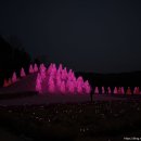 낮과밤사이 | 오색별빛정원 야경 – 낮과 밤 분위기 비교 후기