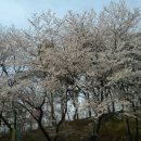 합천군-0011
