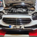 295모터스 이미지