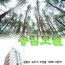 송림모텔 네이버블로그